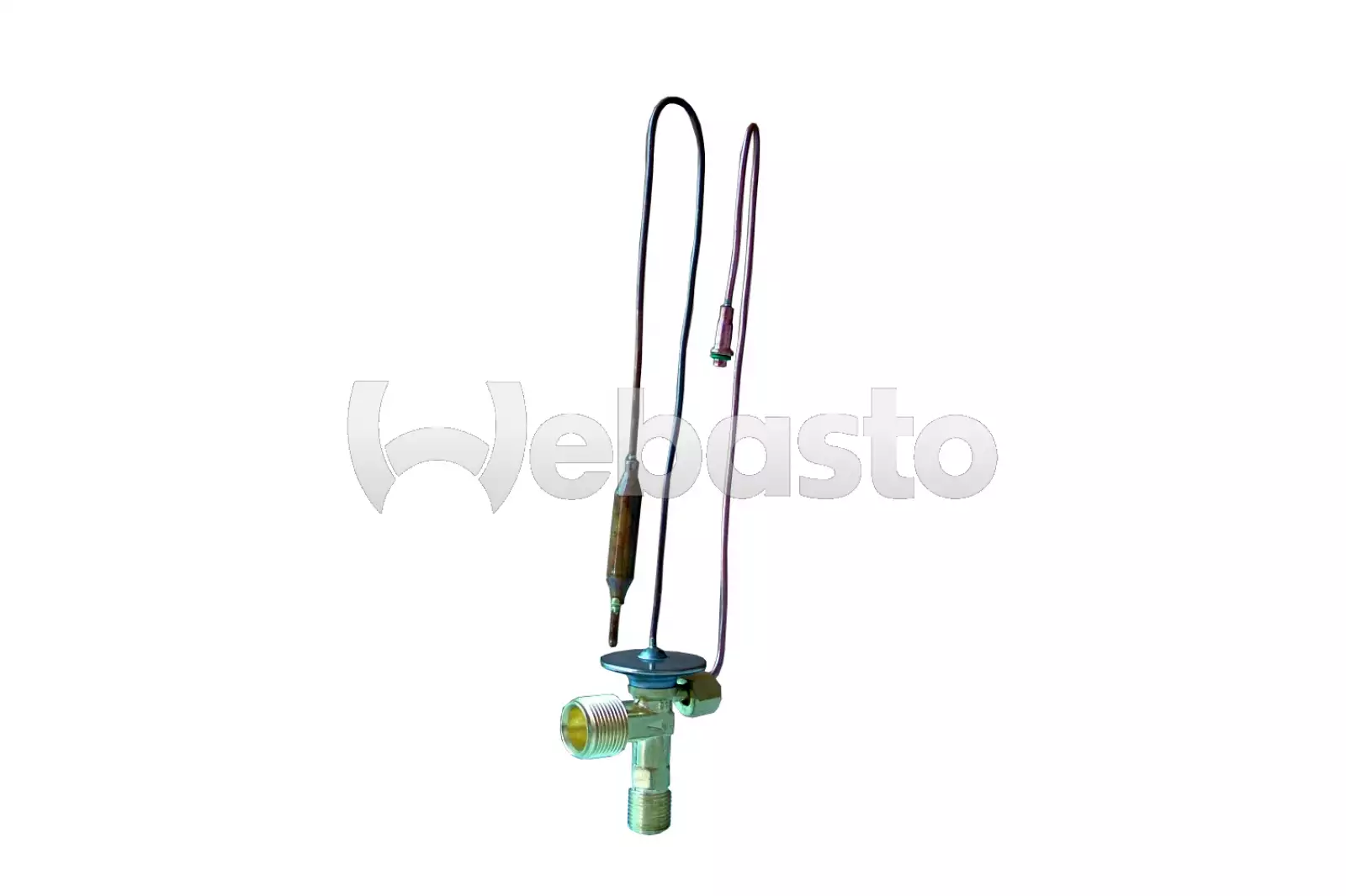 tsp0585066